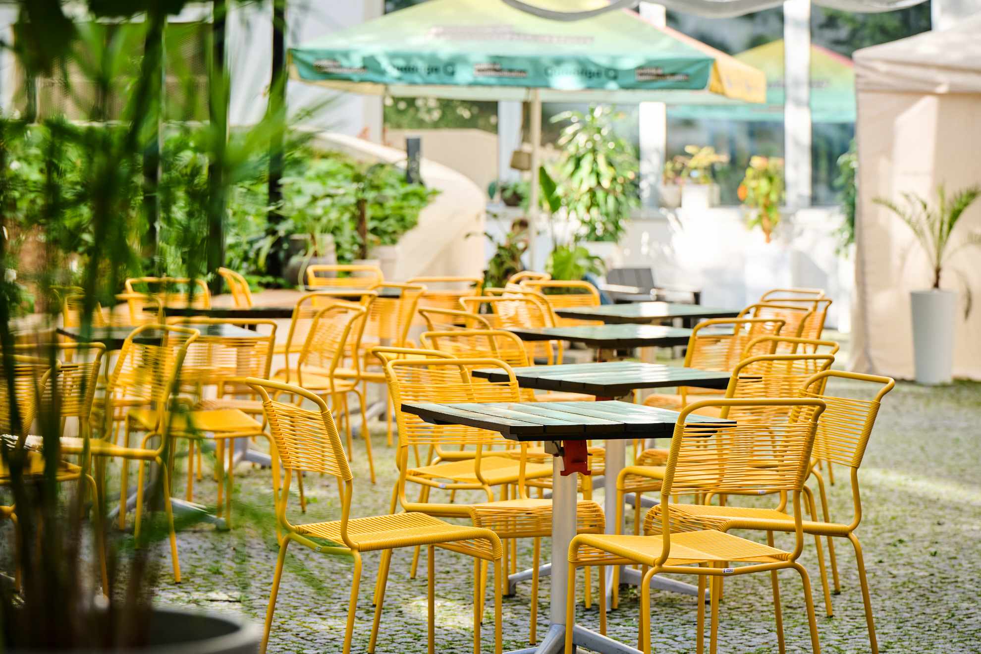 Leerer Außenbereich mit gelben Stühlen und Tischen, umgeben von Pflanzen und Sonnenschirmen.